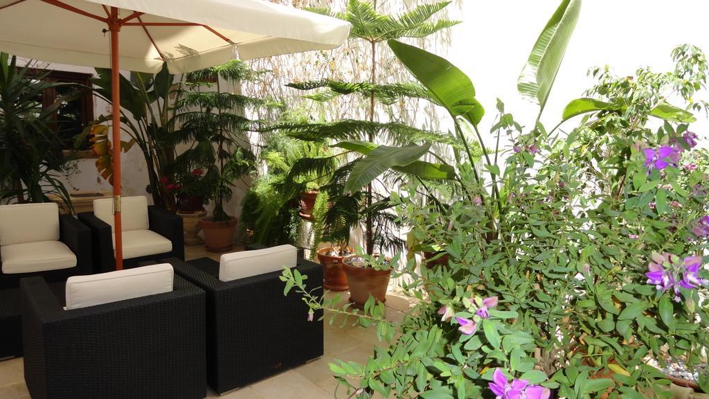 B&B Corti Carmela Gallipoli Exterior photo
